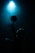 A silhouette of a person balancing a basketball on their finger under a dramatic blue spotlight, creating a mysterious and focused atmosphere.