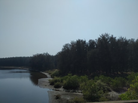 A serene landscape featuring a calm body of water bordered by lush greenery on one side and dense, tall trees on the other. The sky above is clear with a soft blue hue, creating a peaceful and tranquil setting.