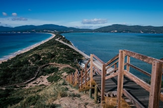 brown wooden pathway over the valley surrounded by blue sea during daytime