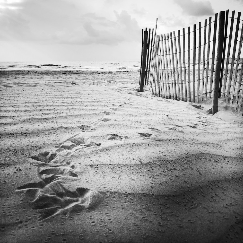 white wooden beach fence