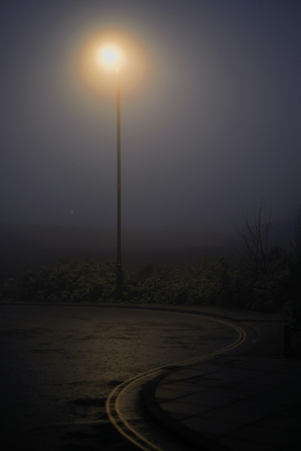 trees near road during night time