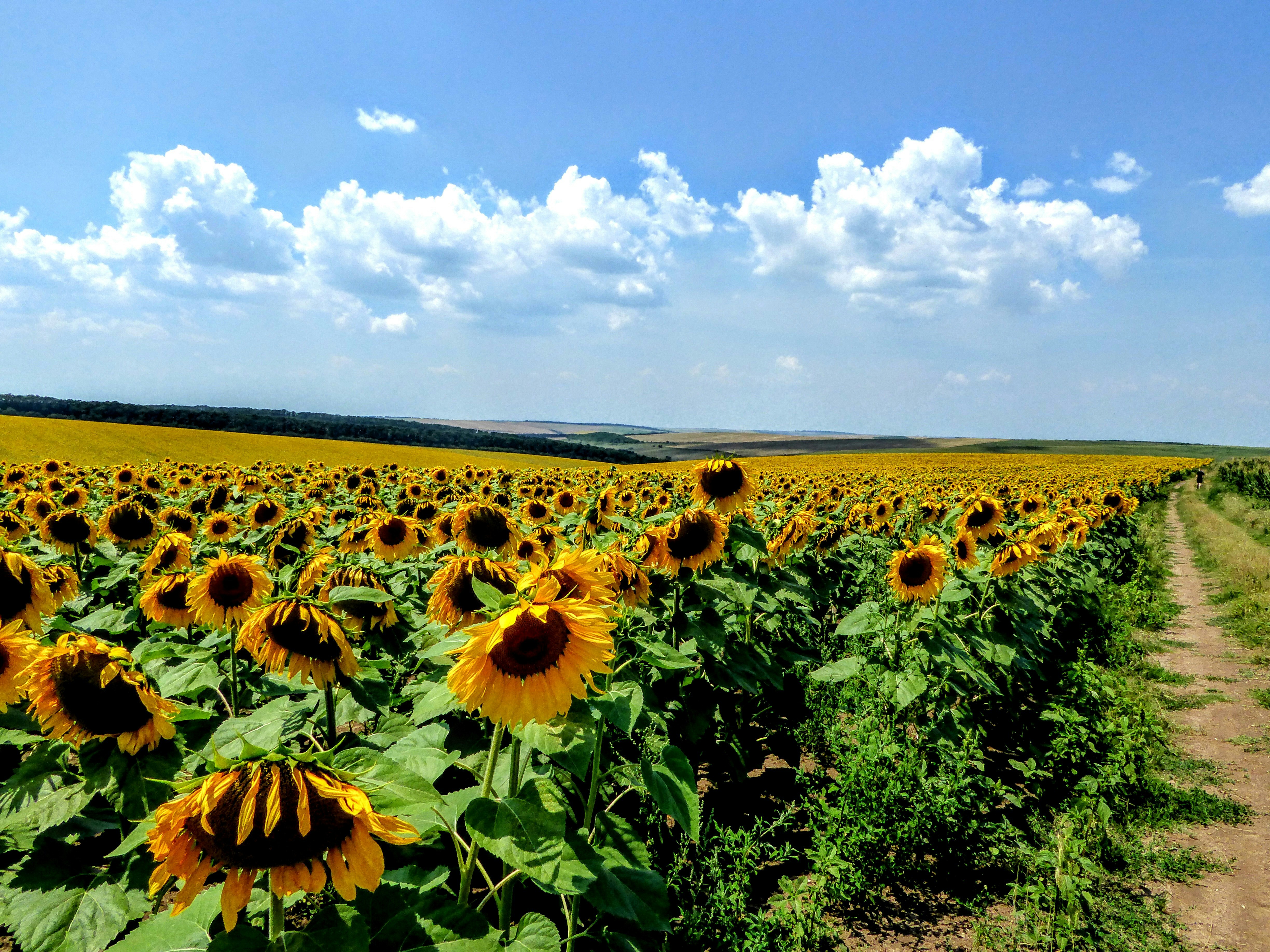 Rural views in Bulgaria