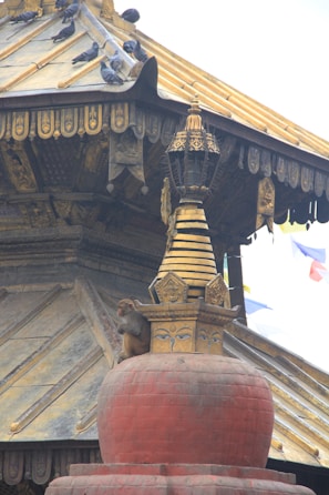 A monkey perches on a large, red, dome-shaped stupa structure with intricate golden detailing. Several pigeons are perched on the sloping roof above. The structure has ornate carvings and is adorned with religious or cultural symbols.
