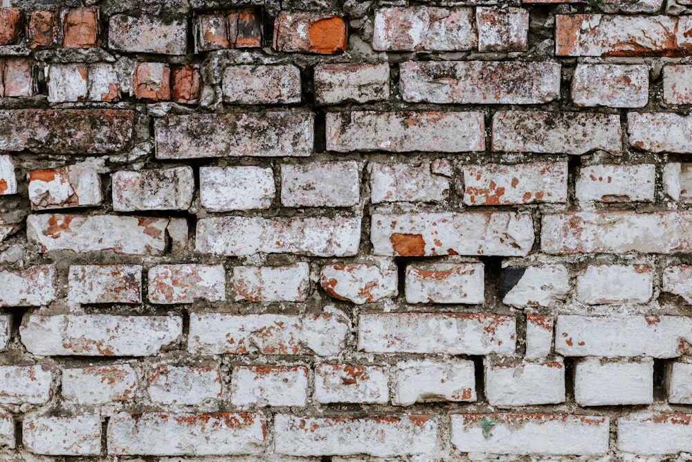 Pared de ladrillo marrón y blanco