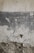 A textured, weathered wall with layers of peeling paint, revealing different shades of grey and beige beneath. The surface appears rough, with visible cracks and irregular patterns. There is a section of exposed concrete at the bottom, adding to the rustic and aged appearance.