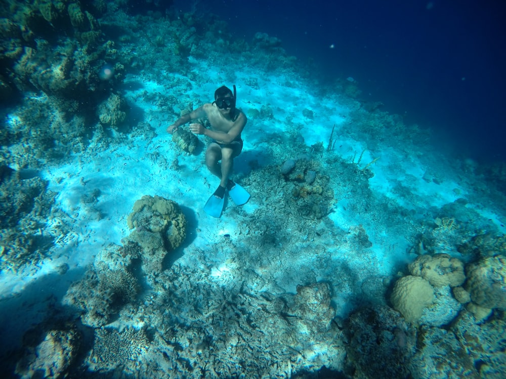 Under water shot of a swimmer