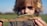 A young child is holding a small branch with a fuzzy caterpillar on it. The background is blurred, emphasizing the child’s concentration on the caterpillar. The setting appears to be outdoors, possibly in a field.