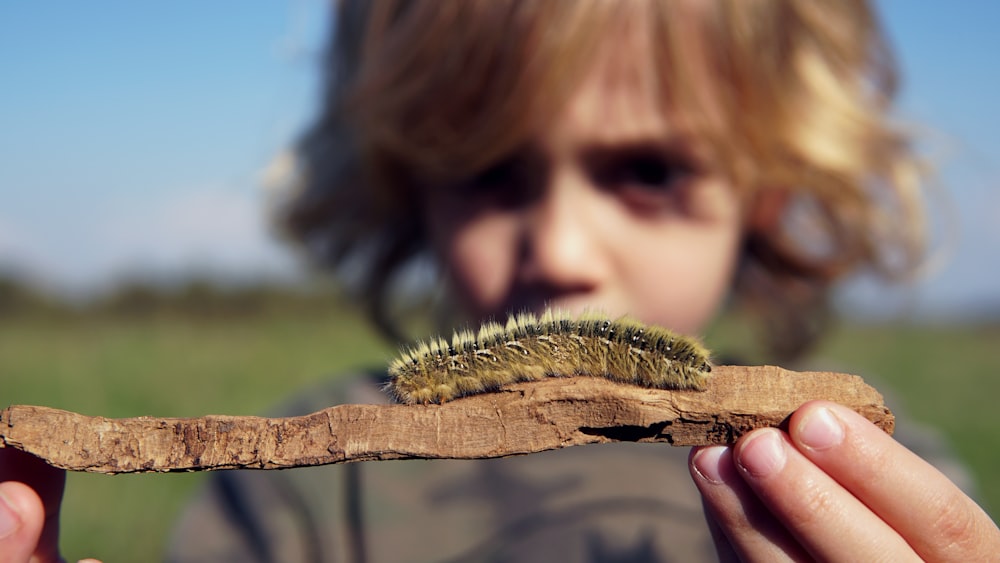 person holding wood with caterpillar selective focus photography