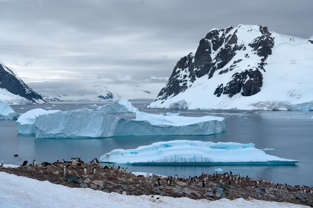 glaciers during daytime