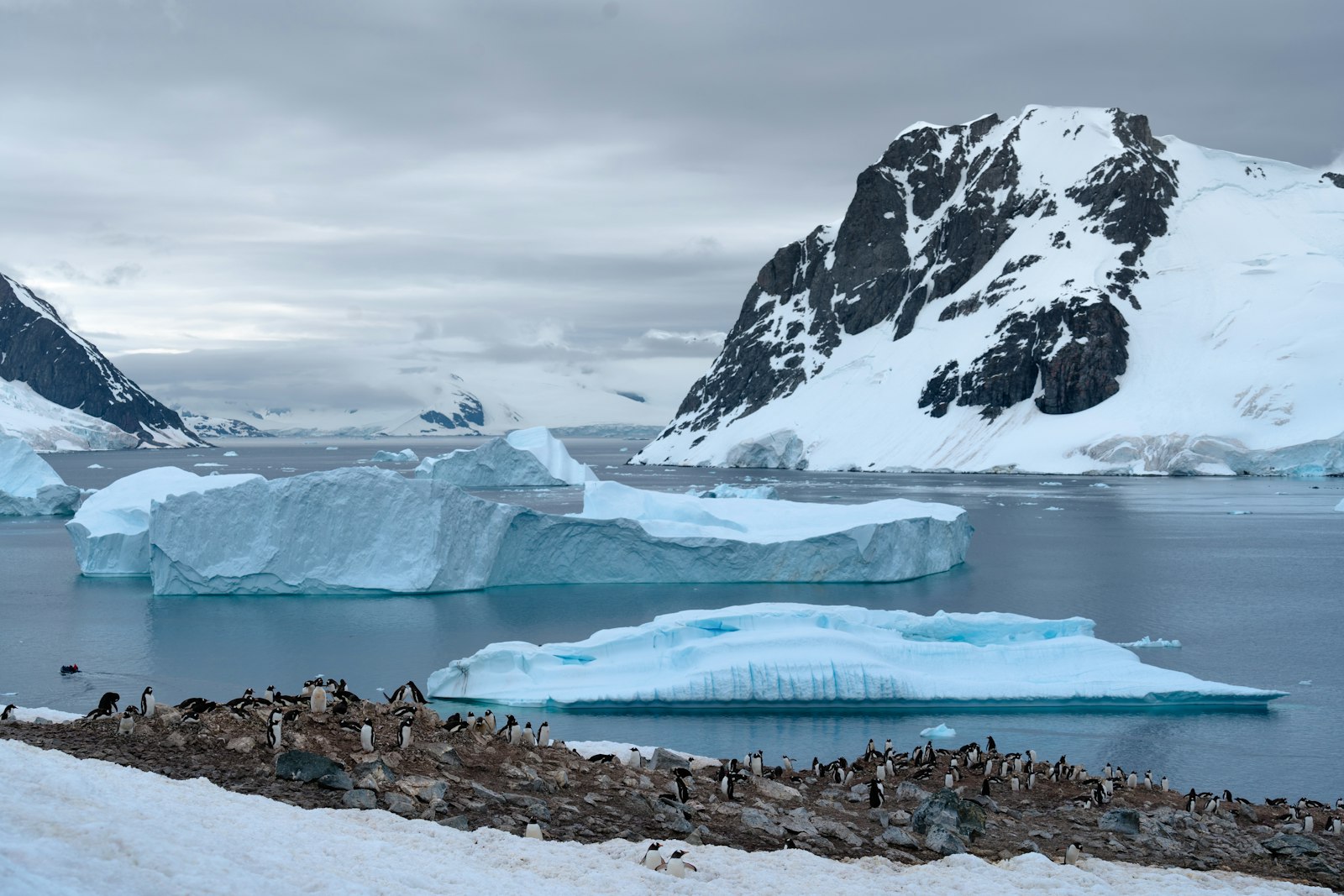 Steep glacier and snow-covered peaks rising from a dark Antarctic channel