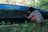 A person wearing a plaid shirt and striped shorts is crouched down, painting the side of a boat with blue paint. The boat is partially painted and is positioned on grassy ground, with trees visible in the background. The scene suggests an outdoor setting, possibly near a body of water.