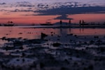 silhouette of people standing on shore during dusk