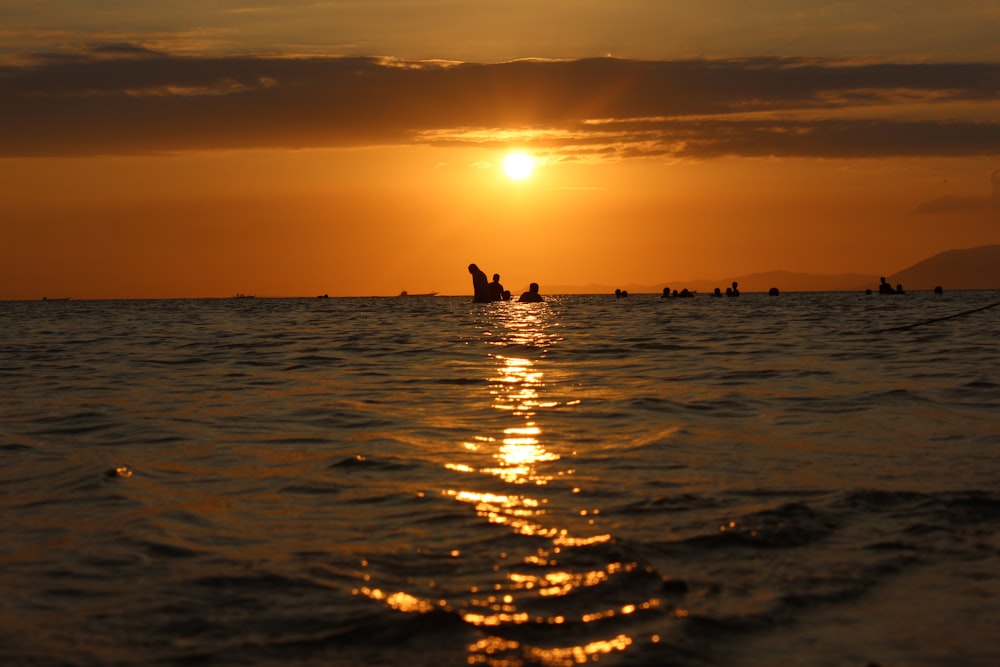 silhouette of people swimming on beach during sunset