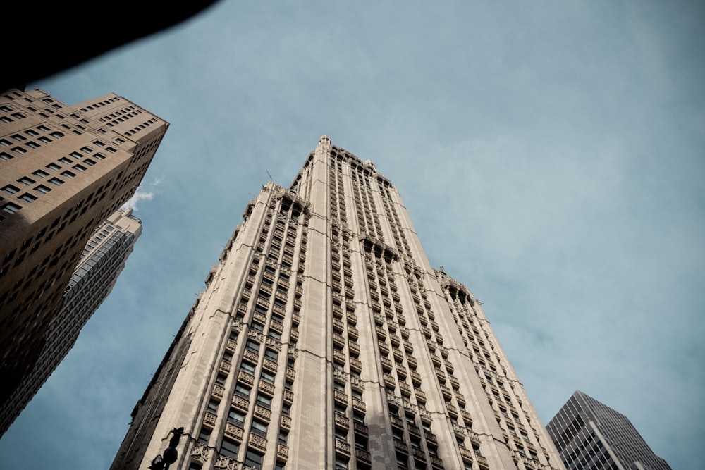 low angle photo of tall high rise building