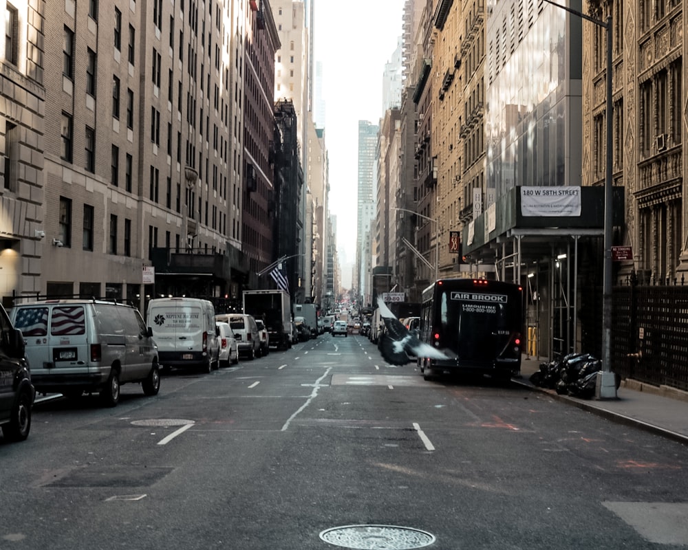 vehicles parked beside high rise buildings