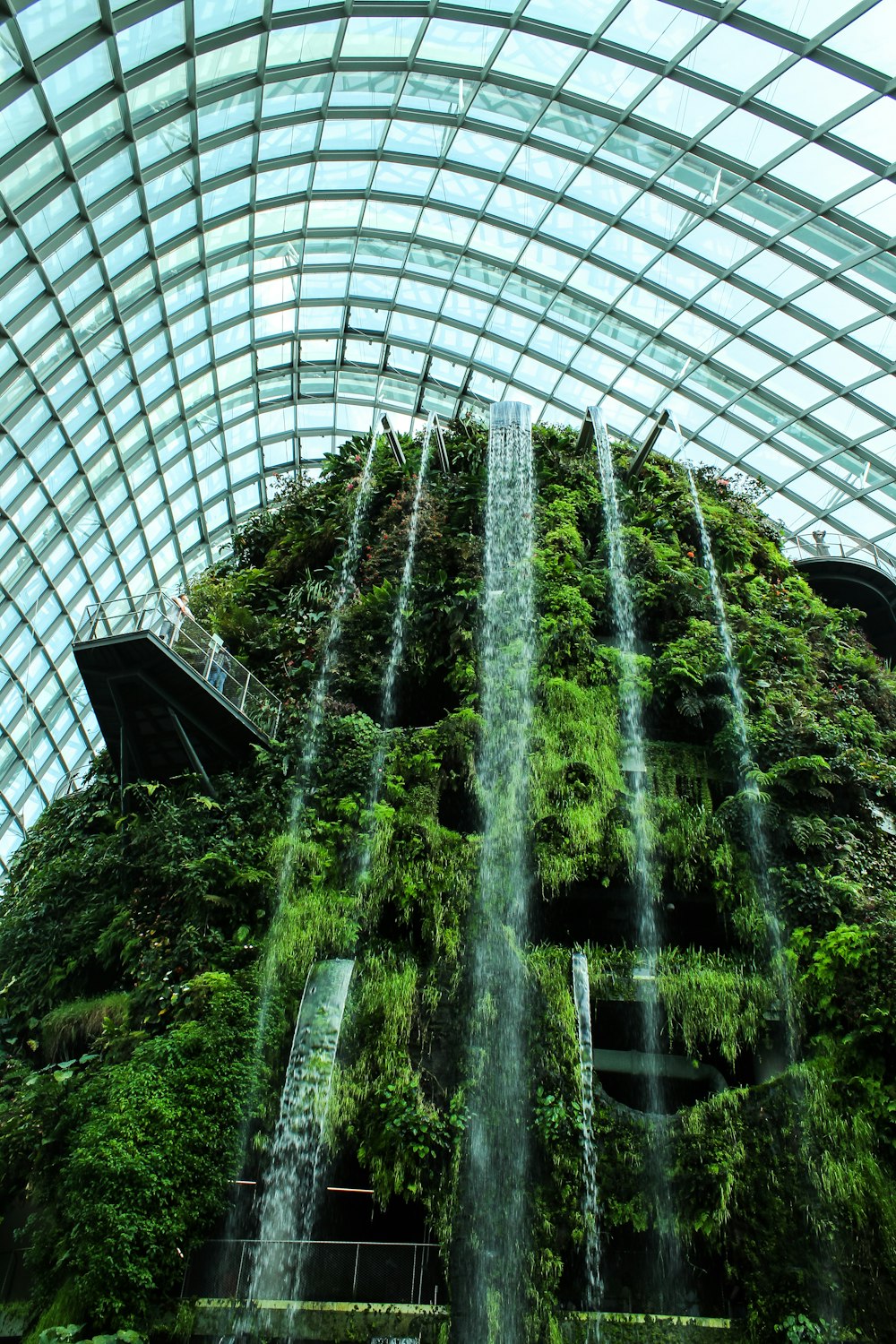 plantas de hoja verde con fuente de agua