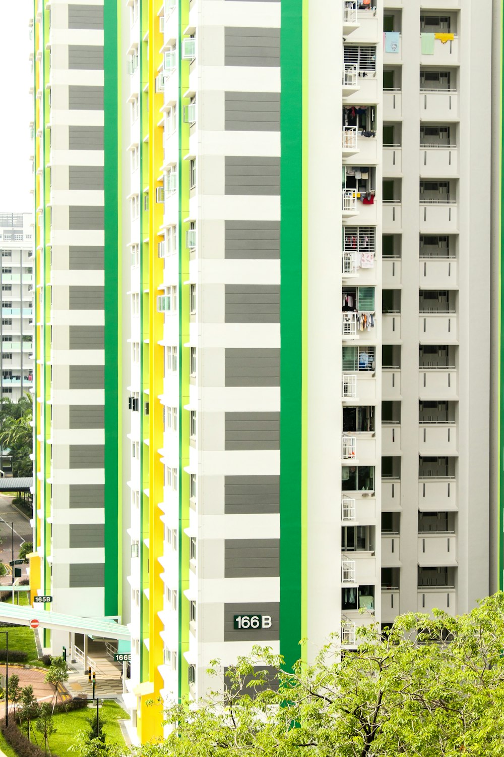 Edificios blancos de gran altura sobre los árboles