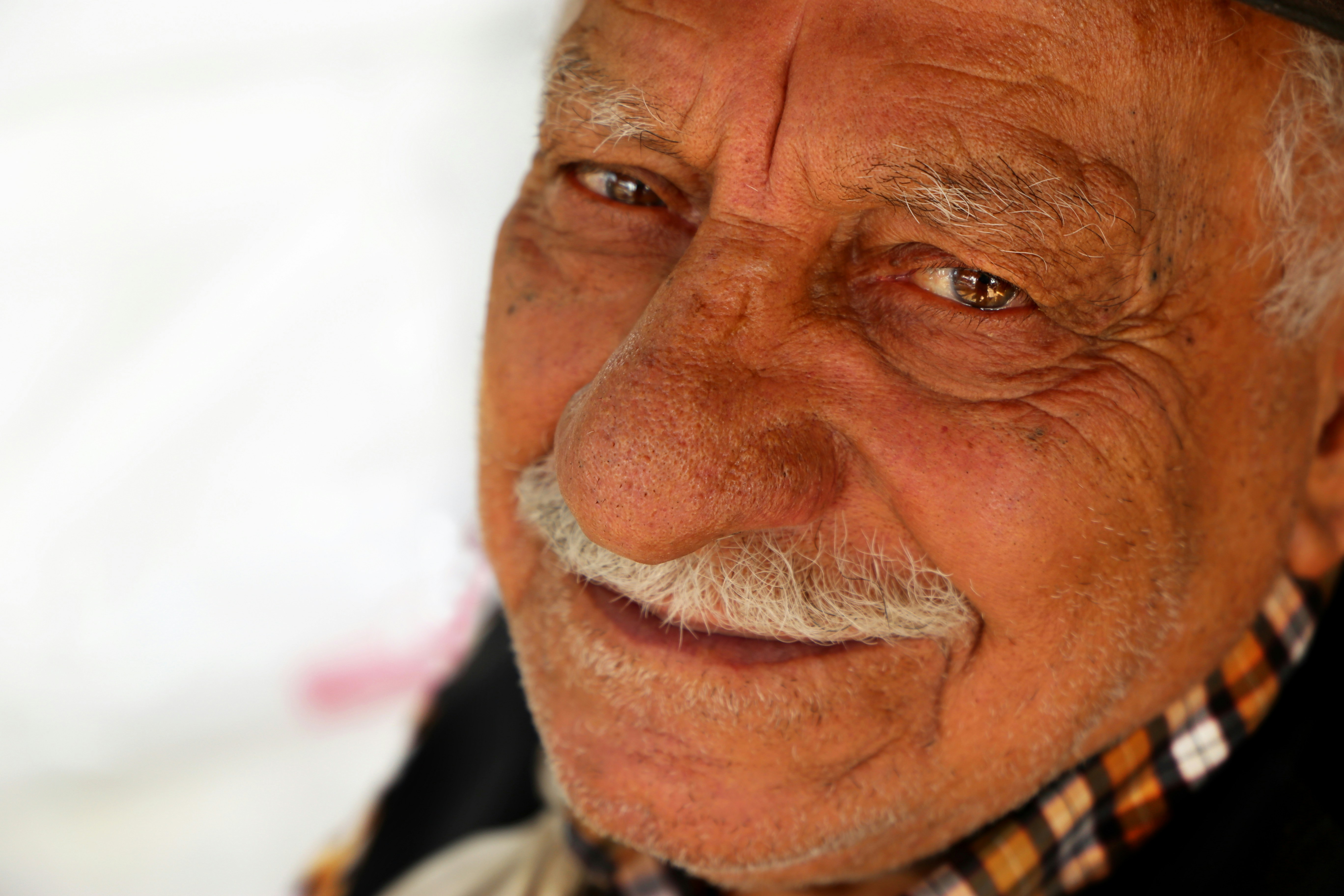 Photo by m_bijanirad