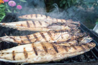Grilled fish fillets sizzling on an open flame grill with herbs.