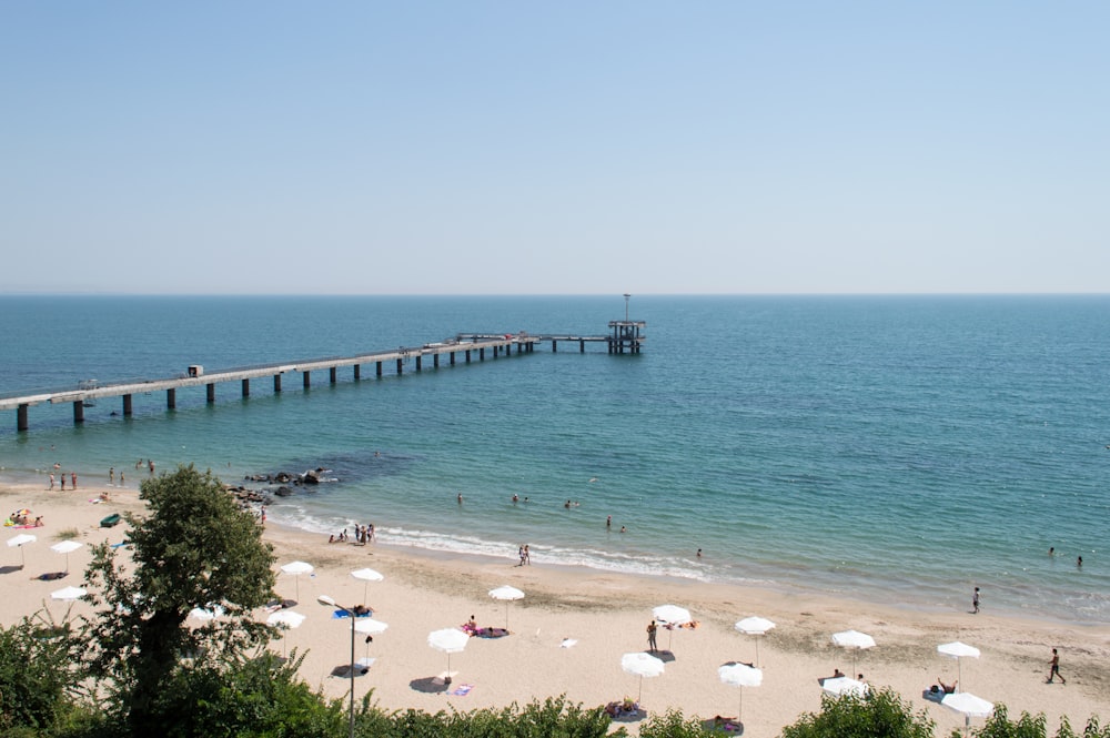 pontile in legno sullo specchio d'acqua