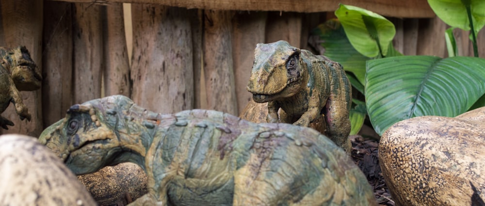 brown dinosaur near green plant