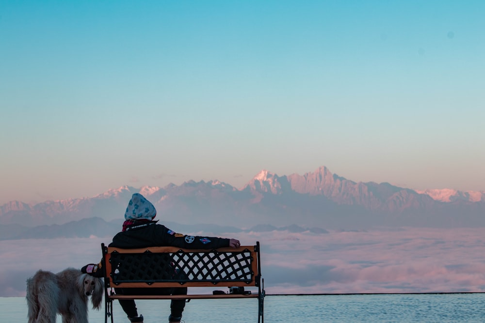 person sitting on bench beside dog looking on sea during daytime