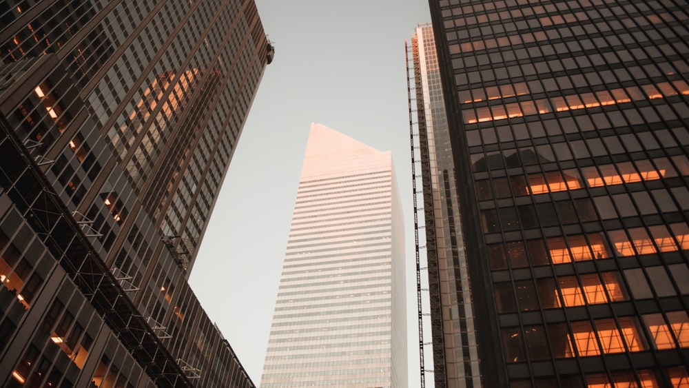 Photographie en contre-plongée d’un immeuble de grande hauteur gris entre deux immeubles de grande hauteur de mur-rideau pendant la journée