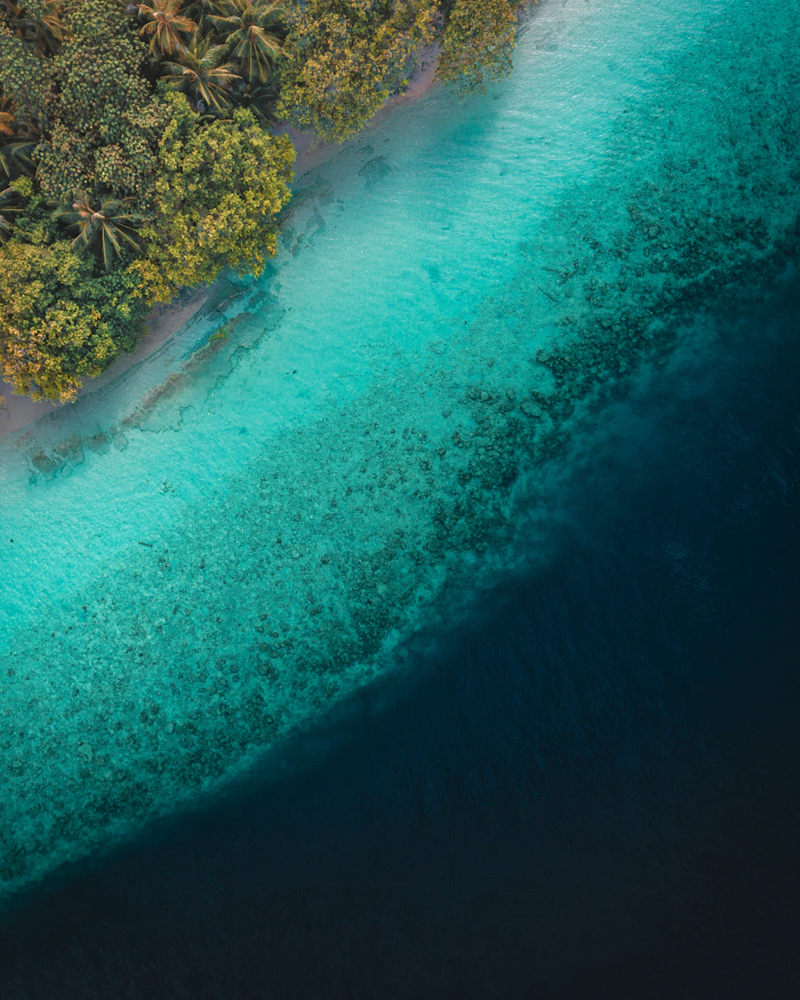 A Maldivian island surrounded by a turquoise lagoon