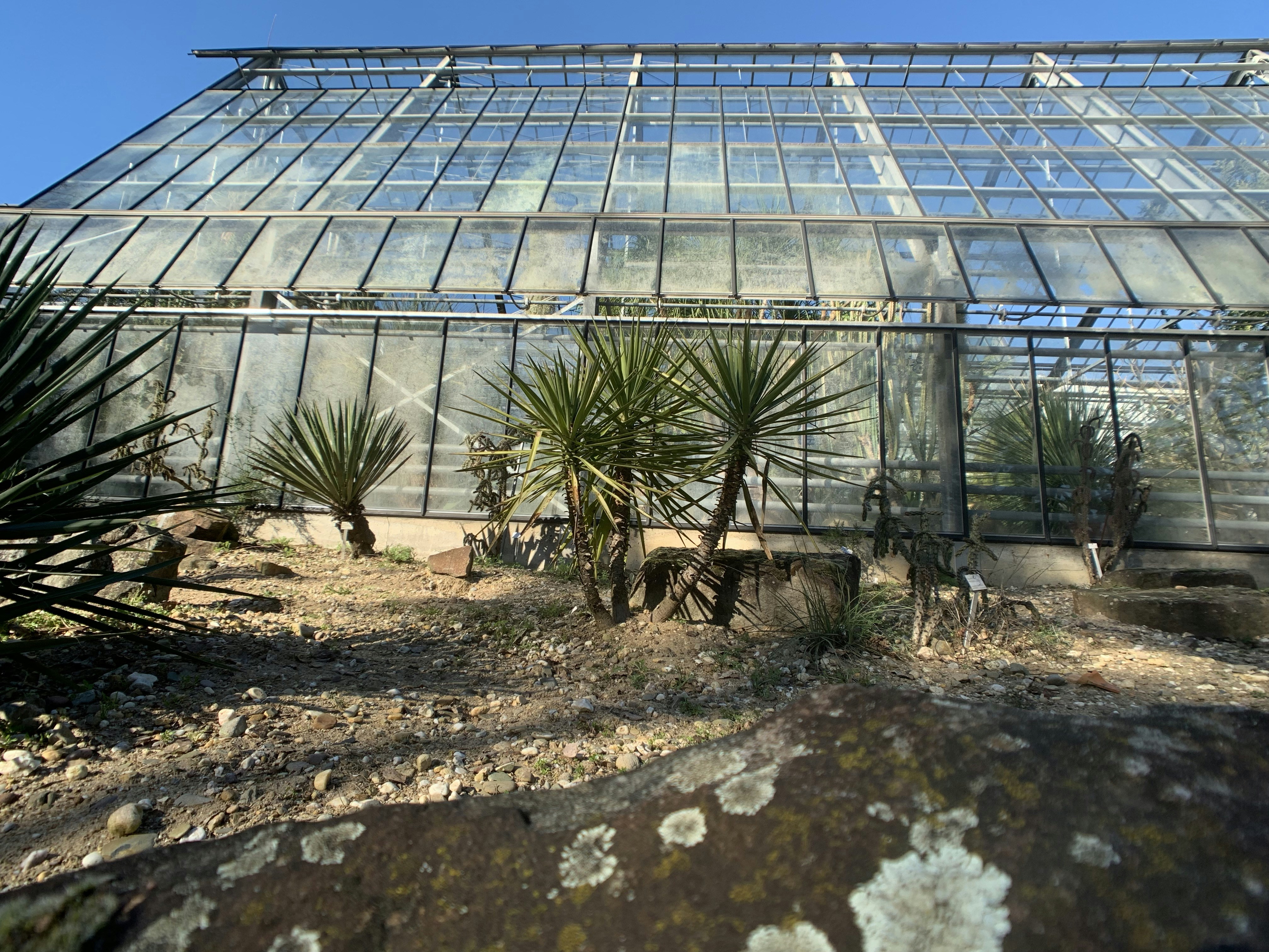 Free Greenhouse Image On Unsplash