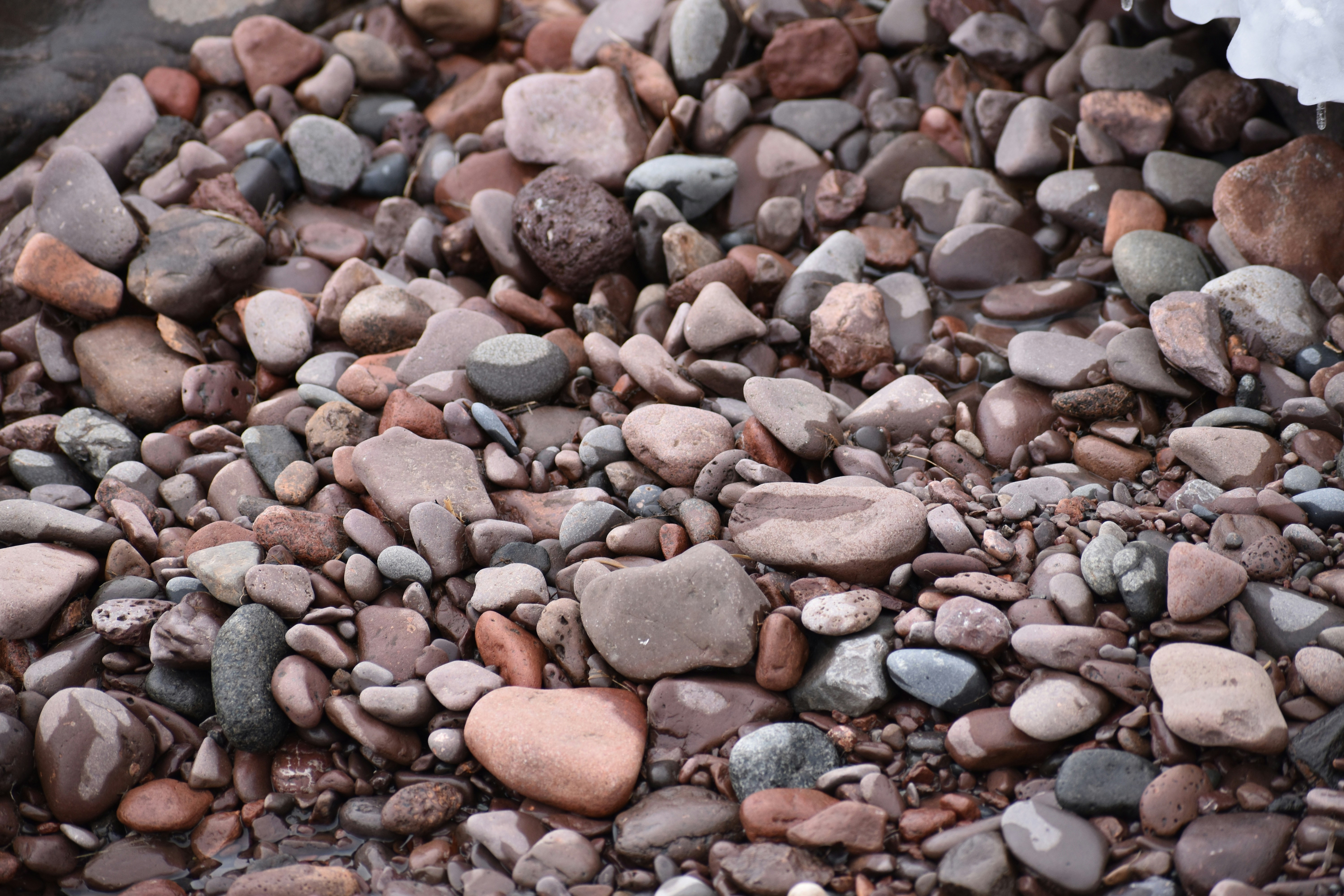 Photo by meganhanson2397