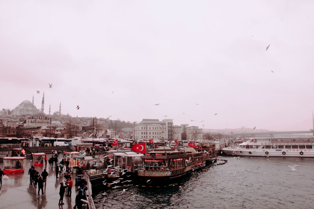 people walking on pier