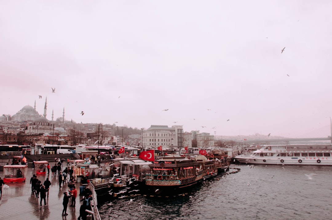 people walking on pier,