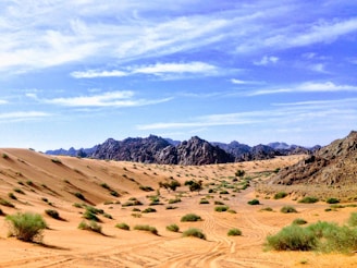 sand dune and mountain scenery