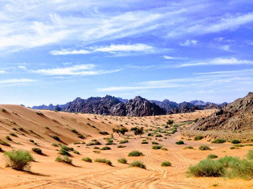 sand dune and mountain scenery