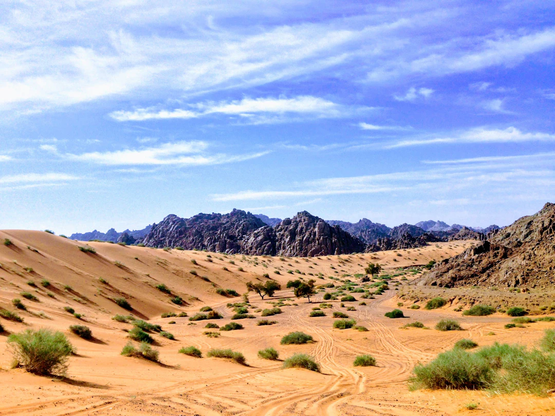 29-Day Luxury Middle East Itinerary: Saudi, UAE & Oman