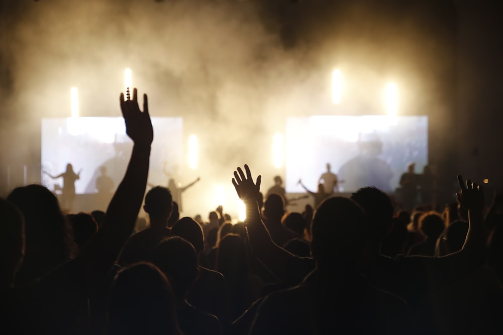 people standing and raising hands during concert