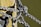 Several thick, black and white braided ropes are tightly knotted around a wooden post. The wood appears weathered with visible grain and some signs of wear. The ropes create a complex knot, displaying their texture and thickness against the smooth surface of the post.