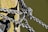 Several thick, black and white braided ropes are tightly knotted around a wooden post. The wood appears weathered with visible grain and some signs of wear. The ropes create a complex knot, displaying their texture and thickness against the smooth surface of the post.