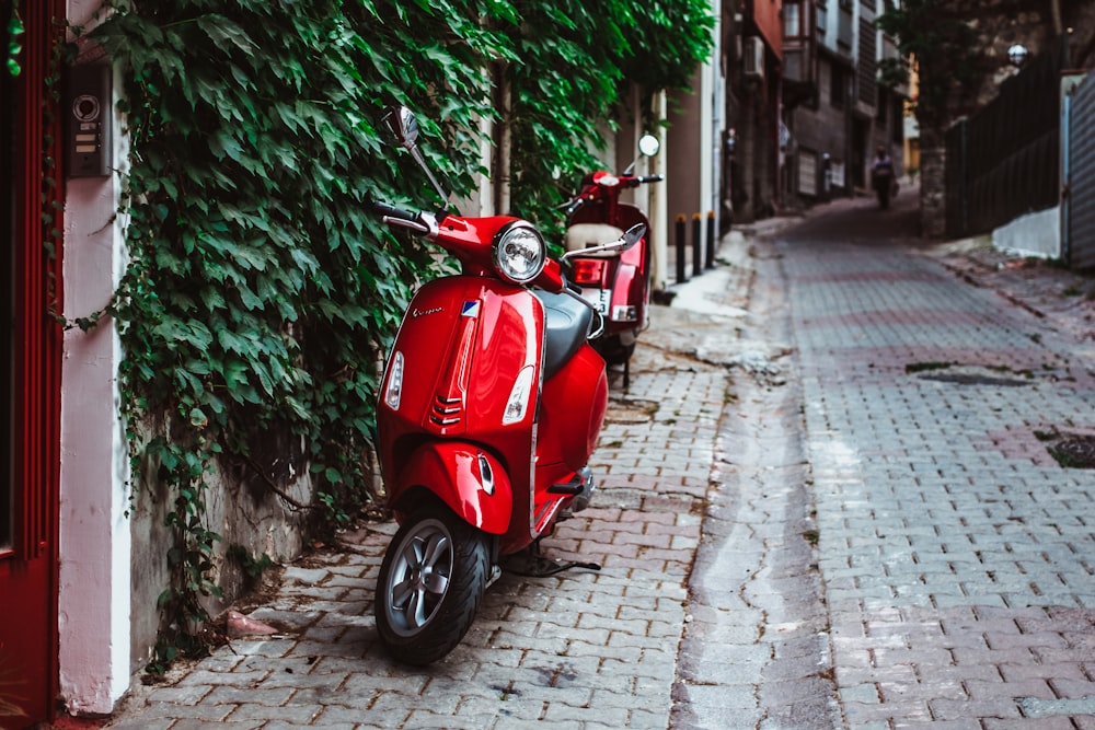 red motor scooter parked beside green plants