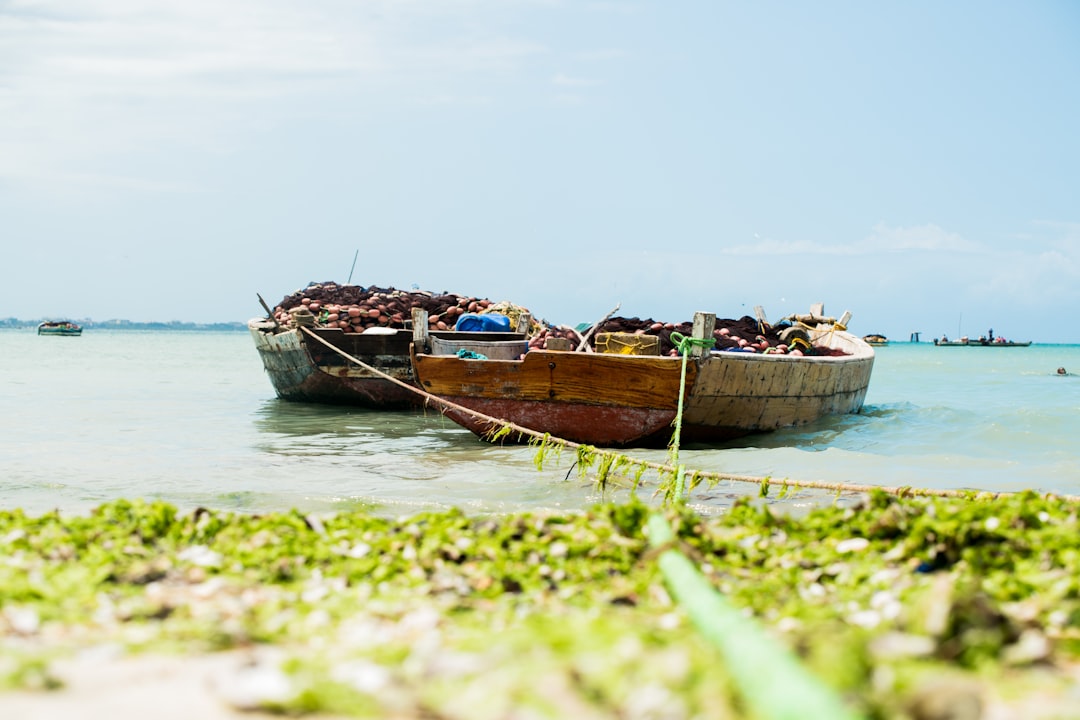 brown canoe boat