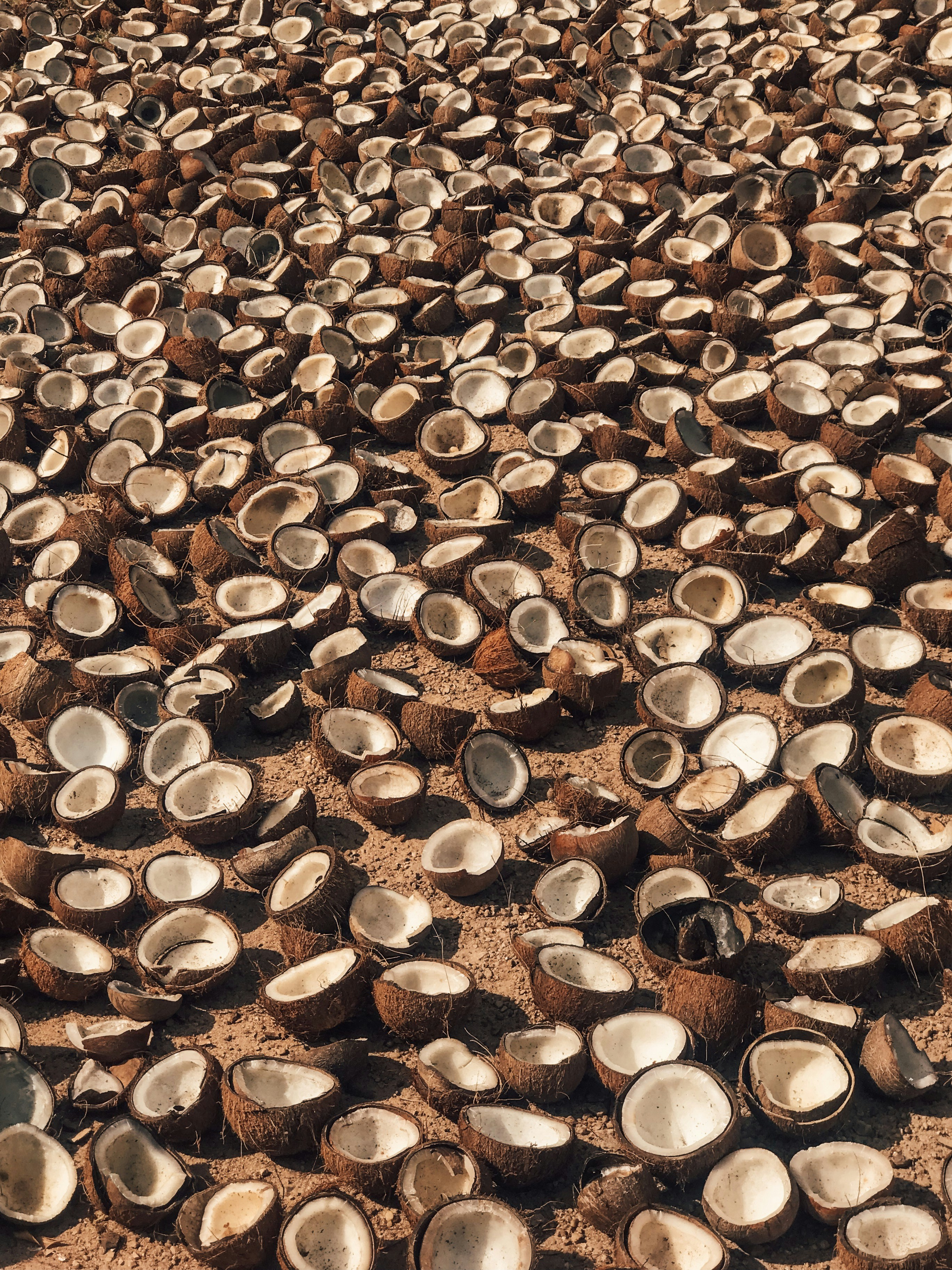 C AND C Agro 's image