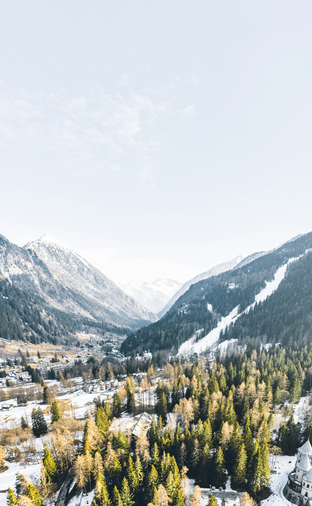 snow covered mountain and pine trees during daytime