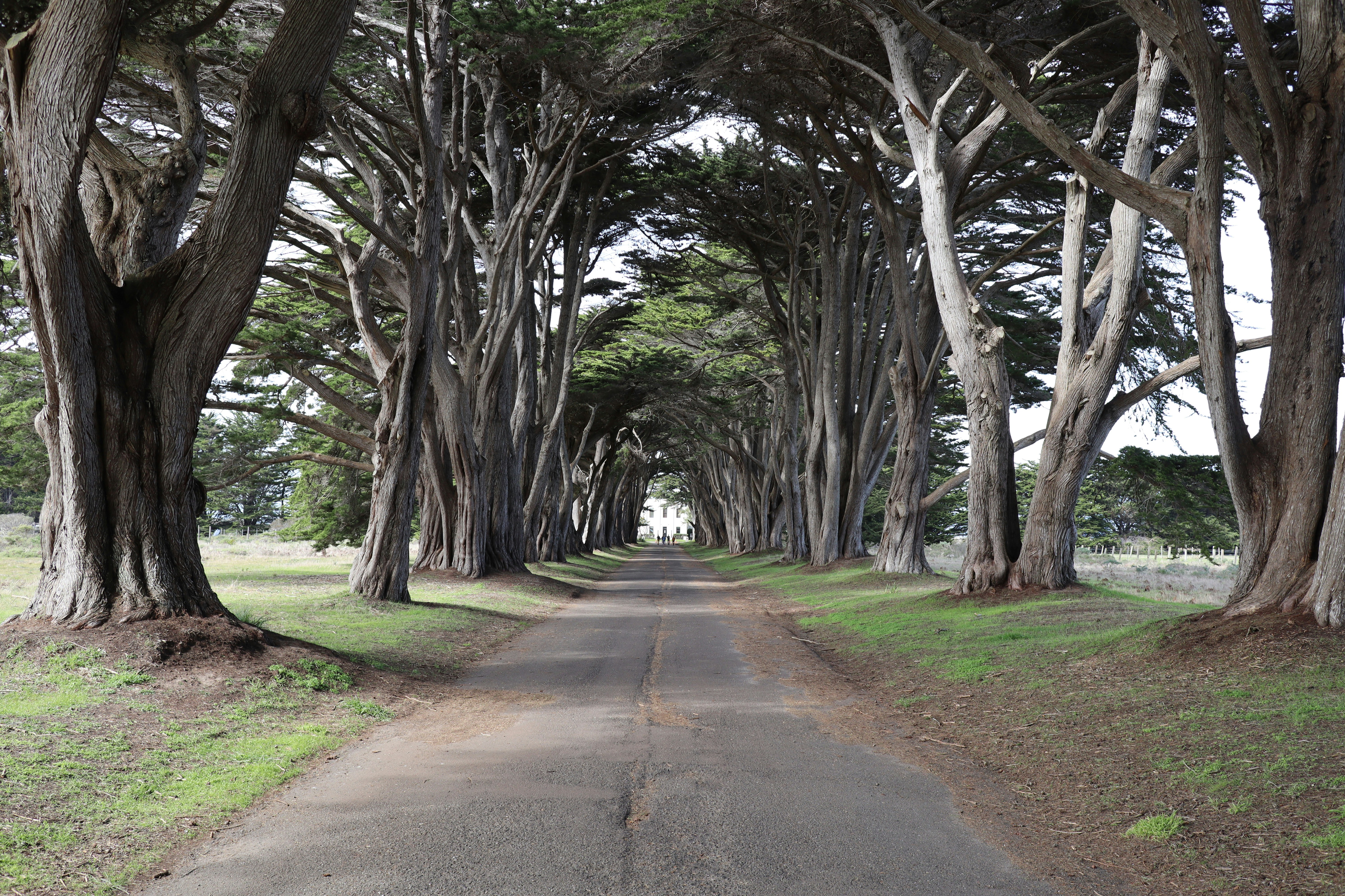 Photo by danreynolds