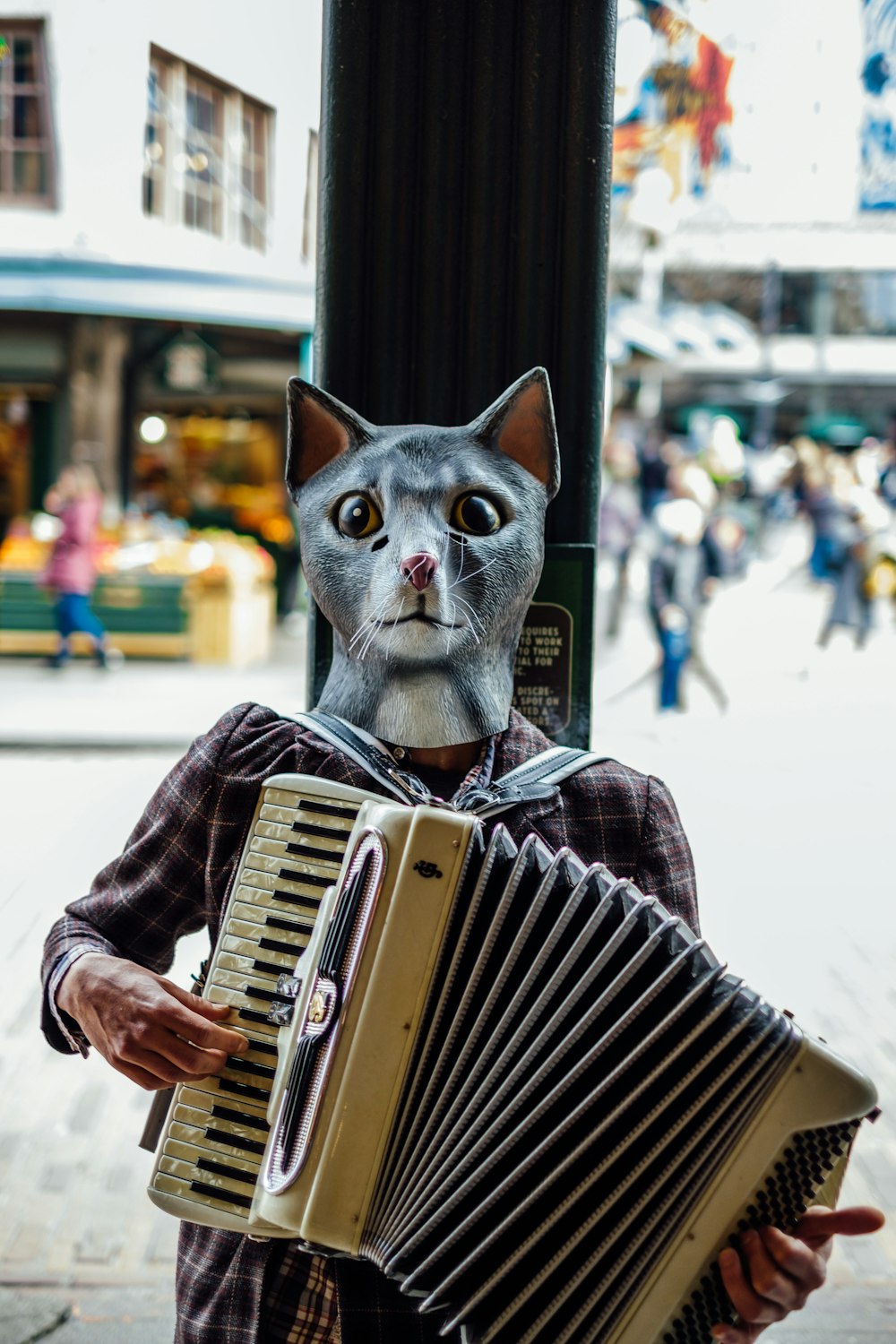 edited photo of person playing accordion