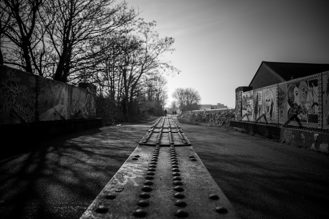 trees beside road grayscale photography