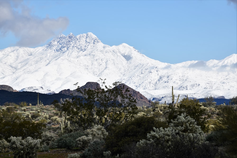 snow-covered mountain during daytime