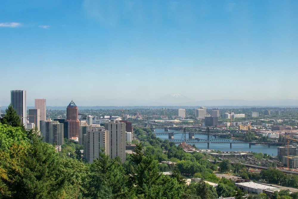 aerial photography of high-rise buildings during daytime