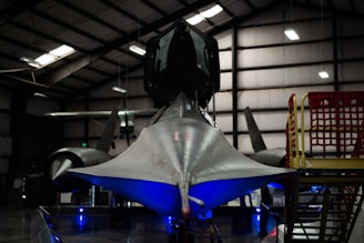 silver, black, and blue aircraft
