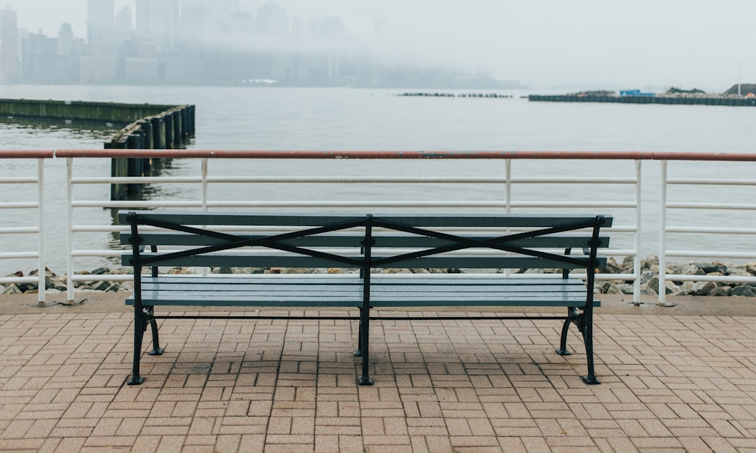 black bench near body of water