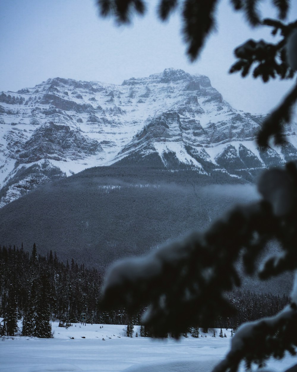 white snowcape mountain